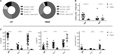 Decreased Frequency of Intestinal CD39+ γδ+ T Cells With Tissue-Resident Memory Phenotype in Inflammatory Bowel Disease